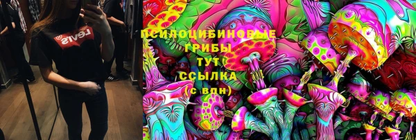 винт Аркадак