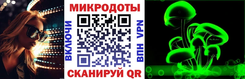Купить  Сосновый Бор  Псилоцибиновые грибы мицелий 