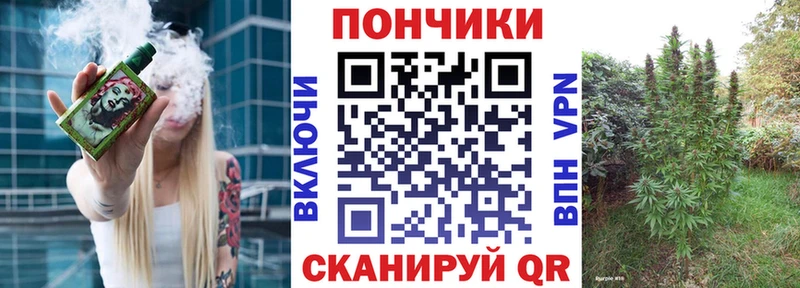 Бошки Шишки сатива Купить где Сосновый Бор
